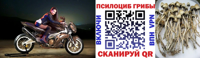 Псилоцибиновые грибы мухоморы  Туран 